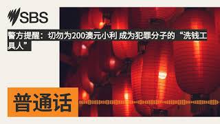 警方提醒：切勿为200澳元小利 成为犯罪分子的“洗钱工具人” | SBS Mandarin - SBS 普通话电台