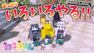 【Minecraft】ねころりん🐱🐥🐼でまったり遊んでるところ【Vtuber / ひなころ🐥🌸】