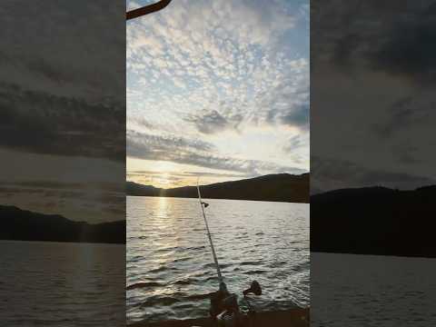 Kokonee fishing at Mervin Lake #fishing