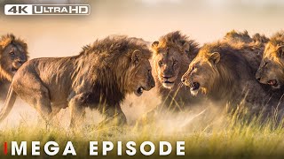 World's Deadliest MEGA EPISODE | 4K UHD | Nature Animal Documentary