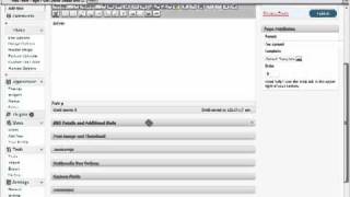 WordPress Blog Posting Efficiency