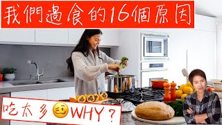 我們過食的原因【暴飲暴食】Reasons we overeat 😑