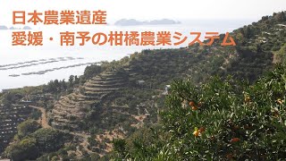 日本農業遺産「愛媛・南予の柑橘農業システム」PR動画（長編）