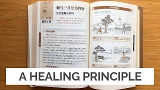 The Web Effect: An Essential Healing Lesson