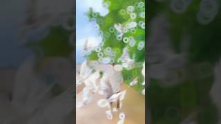 #cgart #love #cg #song #cgshorts #dance #cgtrending #funny #cgviral #comedy
