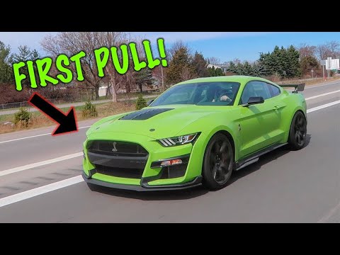 GT500 owner said he can beats the Camaro ZL1 , Muscle cars battle