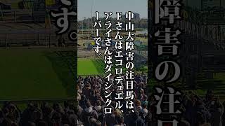 2023 中山大障害、阪神C、有馬記念の注目馬