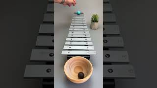 🥣⚫🎶 Mono Drop Melody #ZenVibes