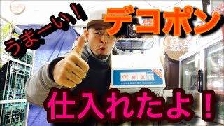 デコポン詳しい食べ方！