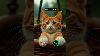 #call #iphone #ringtone #smartphone #ringtones #tech #innovation #iphone15 #mobiletech #cat