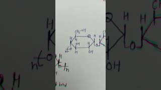 Class 12 biomolecules chapter tricks and tips latest
