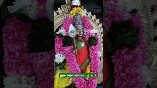 ஓம் சரவணபவ 🙏🙏🙏#ommuruganthunai #ஓம்முருகாபோற்றி #devotional #முருகன்துணை #motivation #முருகாசரணம்