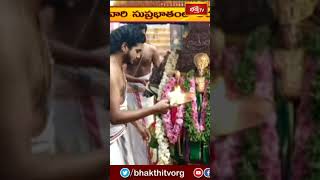 ద్వారకాతిరుమలలో ఘనంగా ధనుర్మాస వేడుకలు #bhakthitv #bhakthitvshorts #newsshorts #shorts