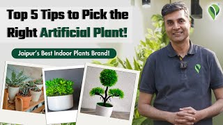 5 Things to Check Before Buying Artificial Plants | Easy Decor Tips for Beginners | Pariworld