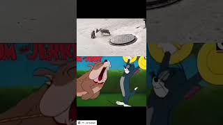 Tom😂😂😂 #funny #newmemes #amazingmemes #comedy #darkhumor #memes #viralvideo #indiamemes