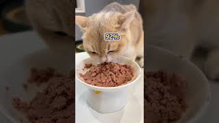 猫咪不吃吃猫粮怎么办？不妨试试生骨肉猫饭，补水又营养，还可以当主粮喂养#萌宠好物 #猫饭 #新手养猫