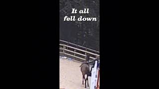 Harlow Luna White and how she broke her ankle, it all fell down #brokenankle   @HarlowLunaWhite