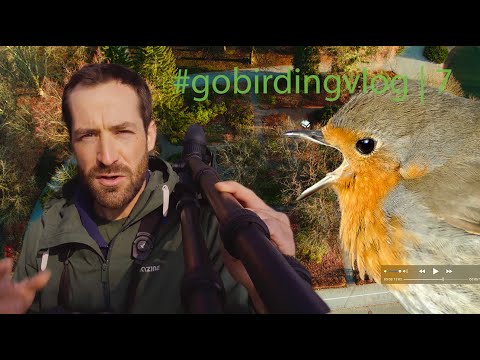 Spring Bird Sounds | #gobirdingvlog​ 7 | Birding Vlog