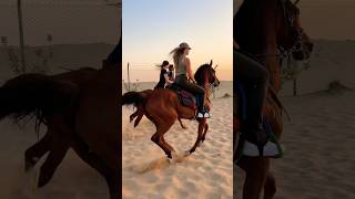 Horse riding in Dubai #horse #equestrianjourney #equestrian #horsetrack #horserider #horsegirl