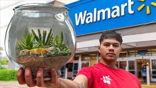 The Walmart Ecosystem Challenge