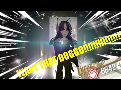 [Arknights] GW HANYA INGIN ITU DOGGO!!!!!!! ~ Arknights Indonesia