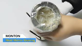 Downhole drilling motor bearing