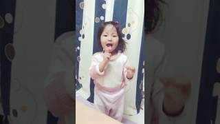 お弁当箱の歌
