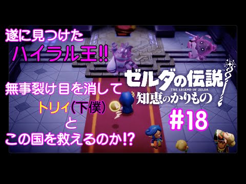 光の力、お借りします！【ゼルダの伝説 知恵のかりもの】#18