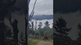 Sikkim Beauty | Sikkim moonson|| sikkim waterfall #2024 #sikkim #rain #mountains #nature