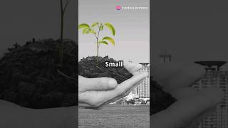 #greenplanet #planttrees #cleanenvironment #ecowarrior #reducepollution #sustainableliving #viral