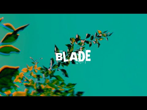 TERECO WIZ - BLADE  [OFFICIAL MUSIC VIDEO 2022]