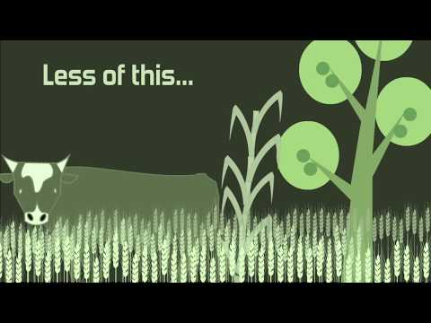 Vertical Farming