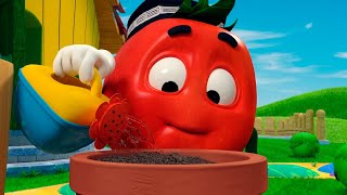 TOMATO DOPPI 🍅Garden And More Craziest Adventures 🌈 FOR KIDS