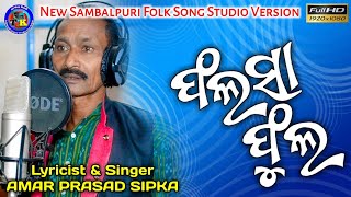 Phalsa Phula | New Sambalpuri Folk Song 2020 | Amar Prasad Sipka | Tk Music Official