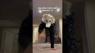 {^pat pat^} #therian #therianthropy #arcticwolf