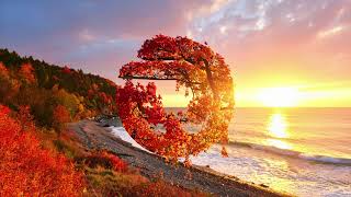 Dash Berlin ft. Bo Bruce - All I Want (Steve Brian & Rowald Steyn Remix) [Official Audio]