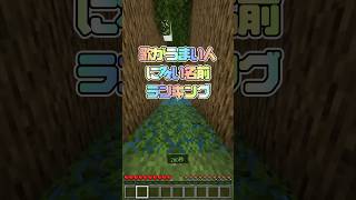 歌がうまい人に多い名前ランキング🎤  #マイクラ #minecraft #ランキング