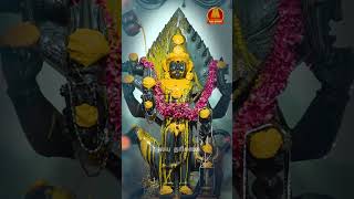 🪔 நவக கால பைரவர் சந்தன அபிஷேக தரிசனம் 🪔 #bhairav #bhairavar #shorts