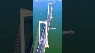 MOST AMAZING SHENZHEN ZHONGSHAN LINK LINGDINGYANG BRIDGE #bridge #travel #travel