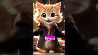 funny cat dance