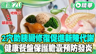 2穴助胰臟修復促進新陳代謝  健康餐盤保護膽囊預防發炎【健康2.0 一周精選】#吳明珠 #劉怡里