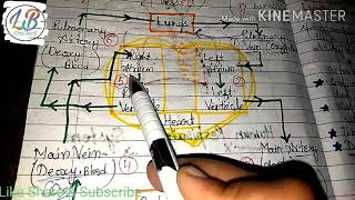 Class-10th Chapter-6 Life Processes,Part-6, Topic- Transportation.