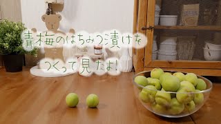 VLOG第一弾！『青梅のはちみつ漬け』を作ったよ！