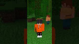 Minecraft Start A SMP
