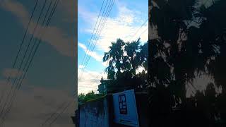 #goodmorningvibes #clearsky #naturecloseup #calmvibes  #freshairfeels #naturevibes