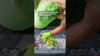 Protect And Decorate Your Yard This Winter With Inorganic Mulch! 🪨