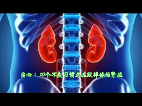 当心：10个不良习惯正在毁掉你的肾脏