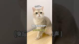 【鈍鈍的日常】太嚇人了，三更半夜居然有人來敲我的家門