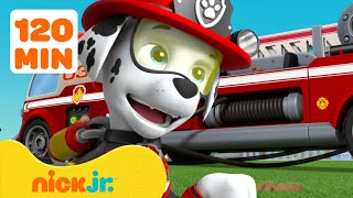 PAW Patrol Marshall's Most Daring Rescues! #2 🚒 2 Hours | Nick Jr.