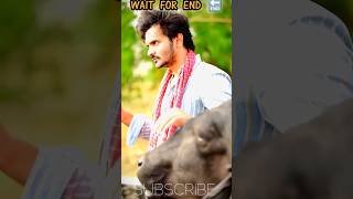 me azmaik respect for animals ❤️❤️ #shortvideo #treanding #mrazmaik #shorts #short #shortsfeed